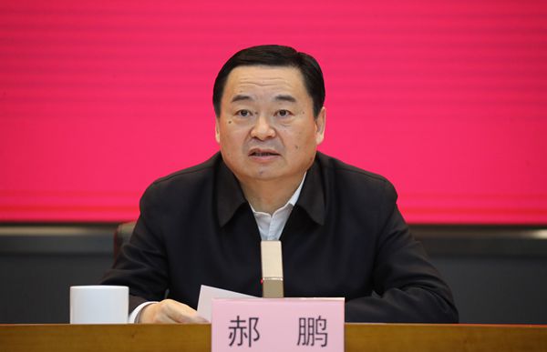 郝鵬、國資、央企、國資委、書記、主任、國企、企業(yè)改革