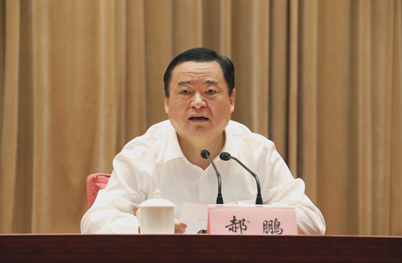 郝鵬、國資、央企、國資委、書記、主任、國企、企業(yè)改革